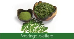 MORINGA