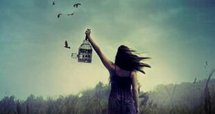 EL CEREBRO EMOCIONAL DE LAS PERSONAS CON ALTA SENSIBILIDAD (PAS)