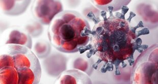 ALIMENTO DE CÉLULAS CANCERÍGENAS