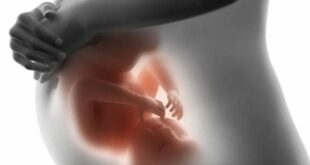 LAS EMOCIONES DE MAMÁ INFLUYEN EN EL DESARROLLO CEREBRAL DEL BEBÉ