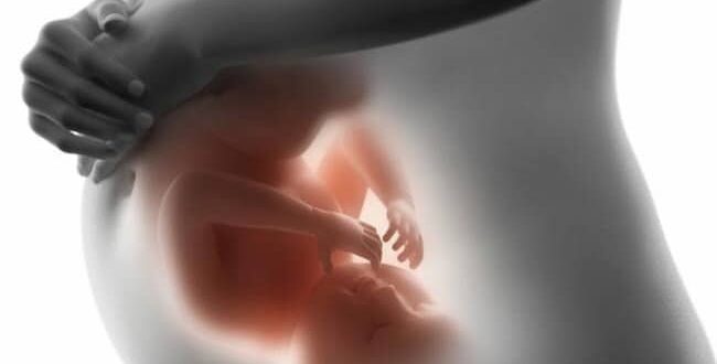 LAS EMOCIONES DE MAMÁ INFLUYEN EN EL DESARROLLO CEREBRAL DEL BEBÉ