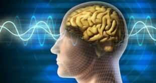 PSICONEUROINMUNOLOGÍA: LO QUE EL CORAZÓN QUIERE, LA MENTE SE LO MUESTRA