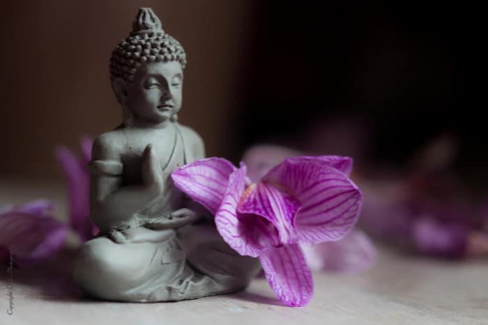 Diez frases budistas para reflexionar