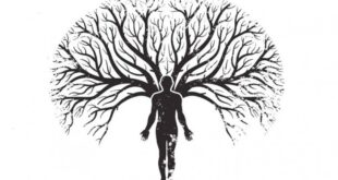 TEORÍA DE LOS CAMPOS MÓRFICOS Y EL ÁRBOL GENEALÓGICO