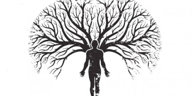 TEORÍA DE LOS CAMPOS MÓRFICOS Y EL ÁRBOL GENEALÓGICO