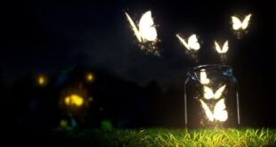 10 SIGNOS DE QUE ESTAS CRECIENDO EMOCIONALMENTE, AUNQUE NO TE DES CUENTA