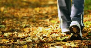 CAMINAR VUELVE AL CEREBRO MAS CREATIVO Y LE CURA LAS PENAS