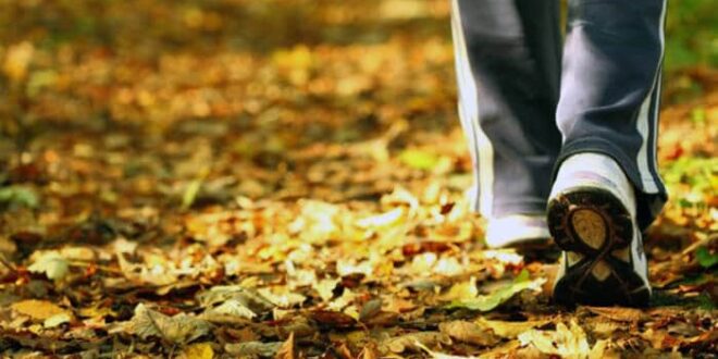 CAMINAR VUELVE AL CEREBRO MAS CREATIVO Y LE CURA LAS PENAS