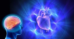 EL CORAZÓN TIENE CEREBRO