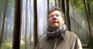 CÓMO EVITAR LA NEGATIVIDAD POR ECKHART TOLLE