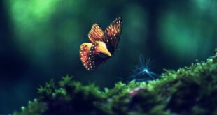15 COSAS QUE NECESITAS ABANDONAR PARA SER FELIZ