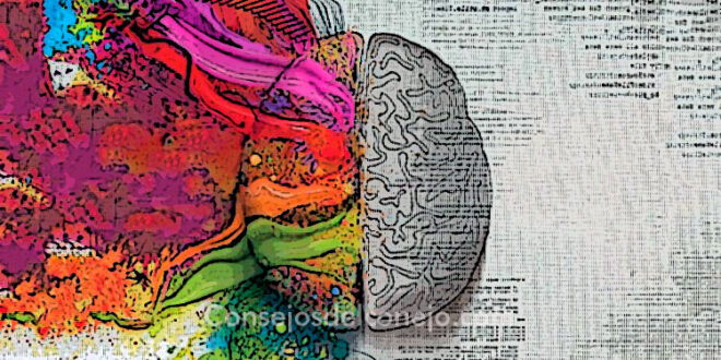 ¿CÓMO ESTIMULAR LAS EMOCIONES PARA SANAR?