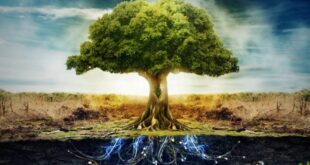 LA ENFERMEDAD Y EL ÁRBOL GENEALÓGICO