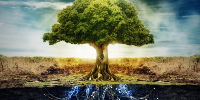 LA ENFERMEDAD Y EL ÁRBOL GENEALÓGICO