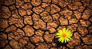 RESILIENCIA: LOS 12 HÁBITOS DE LAS PERSONA RESILIENTES