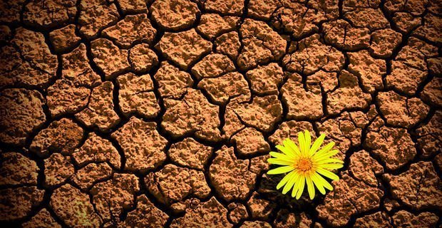 RESILIENCIA: LOS 12 HÁBITOS DE LAS PERSONA RESILIENTES