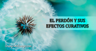 EL PERDÓN Y SUS EFECTOS CURATIVOS