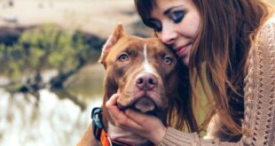 PERDER A UN PERRO DUELE MÁS QUE UN CORAZÓN ROTO