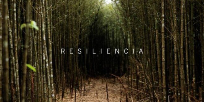RESILIENCIA: LA ADVERSIDAD ME HACE MÁS FUERTE