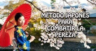 MÉTODO JAPONÉS PARA COMBATIR LA PEREZA