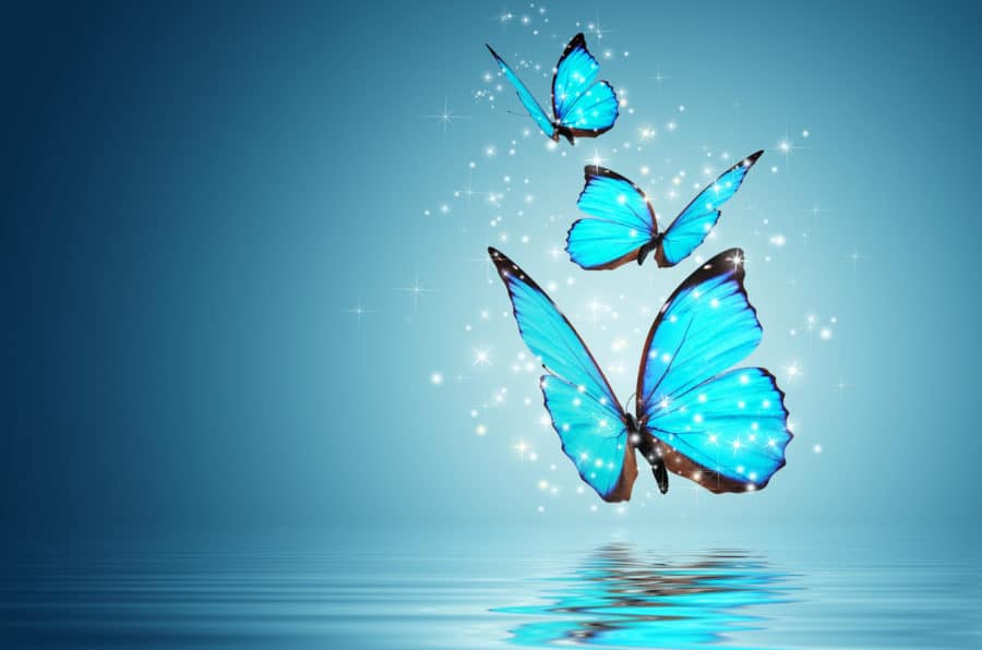 mariposa simbolo del alma