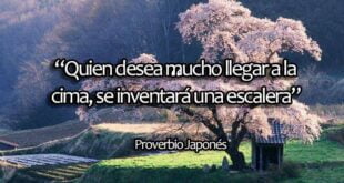 PROVERBIOS DE LA SABIDURÍA JAPONESA