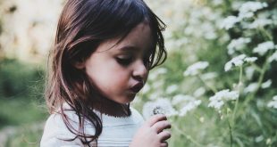 INCENTIVAR LA RESILIENCIA EN LOS NIÑOS