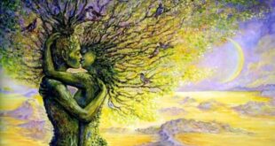 LA PAREJA: LA OPORTUNIDAD PARA SANAR NUESTRO ÁRBOL GENEALÓGICO