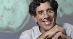 LA BASE DE UN CEREBRO SANO