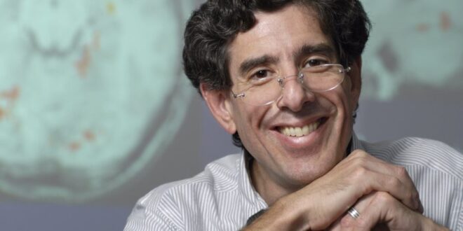 LA BASE DE UN CEREBRO SANO