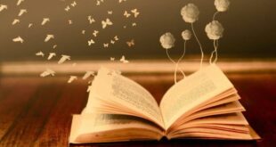 aprender ejercicio d gratitud