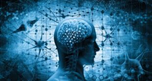 9 HÁBITOS QUE DETERIORAN LAS NEURONAS Y AFECTAN LA SALUD CEREBRAL