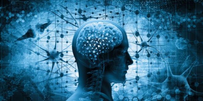 9 HÁBITOS QUE DETERIORAN LAS NEURONAS Y AFECTAN LA SALUD CEREBRAL
