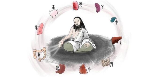 MEDICINA TRADICIONAL CHINA: EL RELOJ BIOLÓGICO