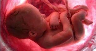 LA PROGRAMACIÓN INCONSCIENTE DE LOS HIJOS