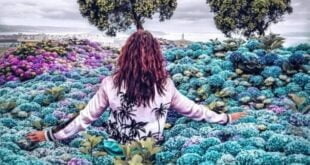 8 CONSEJOS PARA ATRAER ENERGÍA POSITIVA A TU VIDA