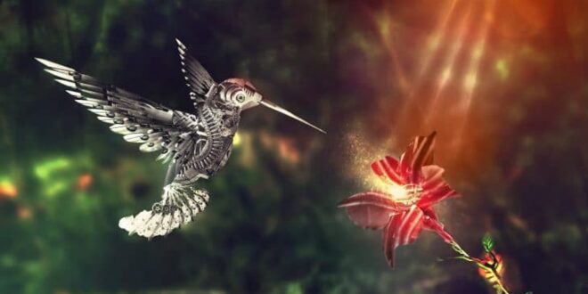 CUANDO VEAS UN COLIBRÍ, UN ALMA AMADA TE VINO A VISITAR 2025 CUANDO VEAS UN COLIBRÍ, UN ALMA AMADA TE VINO A VISITAR