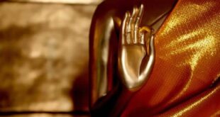 5 MUDRAS PARA CONECTAR CON TU SER SUPERIOR