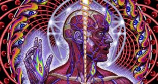 ejercicios para activar la glandula pineal