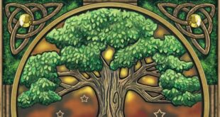 ¿QUE ÁRBOL ERES SEGÚN TU FECHA DE NACIMIENTO?