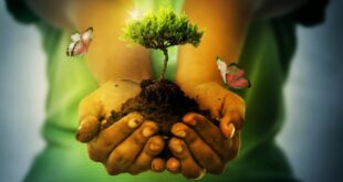 LA NEUROCIENCIA EXPLICA EL PODER DE LA GRATITUD EN NUESTRO CUERPO