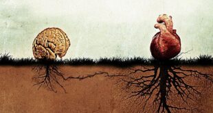 CIENTÍFICOS REVELAN QUE EL CORAZÓN HUMANO POSEE UNA "MENTE CUÁNTICA"