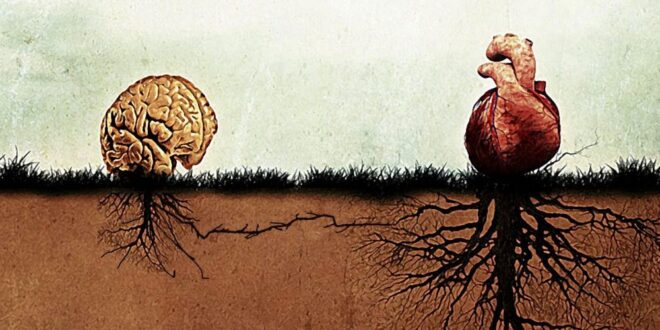 CIENTÍFICOS REVELAN QUE EL CORAZÓN HUMANO POSEE UNA "MENTE CUÁNTICA"