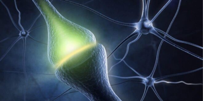 EL NEUROTRANSMISOR QUE ES LA CLAVE DE LA ESPIRITUALIDAD Y LA CONCIENCIA SUPERIOR