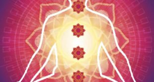 ¿CUÁL ES MI CHAKRA DOMINANTE?