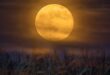 UNA LUNA DE COSECHA ILUMINARÁ EL CIELO ESTA NOCHE