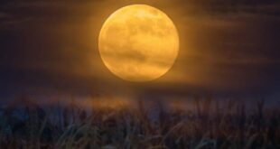UNA LUNA DE COSECHA ILUMINARÁ EL CIELO ESTA NOCHE