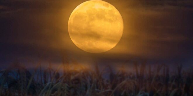 UNA LUNA DE COSECHA ILUMINARÁ EL CIELO ESTA NOCHE