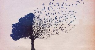¿QUÉ OCULTA TU ÁRBOL GENEALÓGICO?