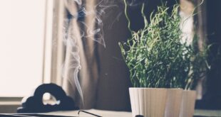 CÓMO PURIFICAR Y LIMPIAR TU ENTORNO